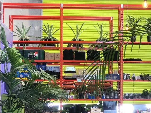 Racking Plant Display